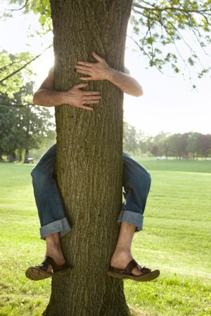 Dendrofilia latente: abbracciare un albero