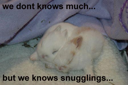 snuggle